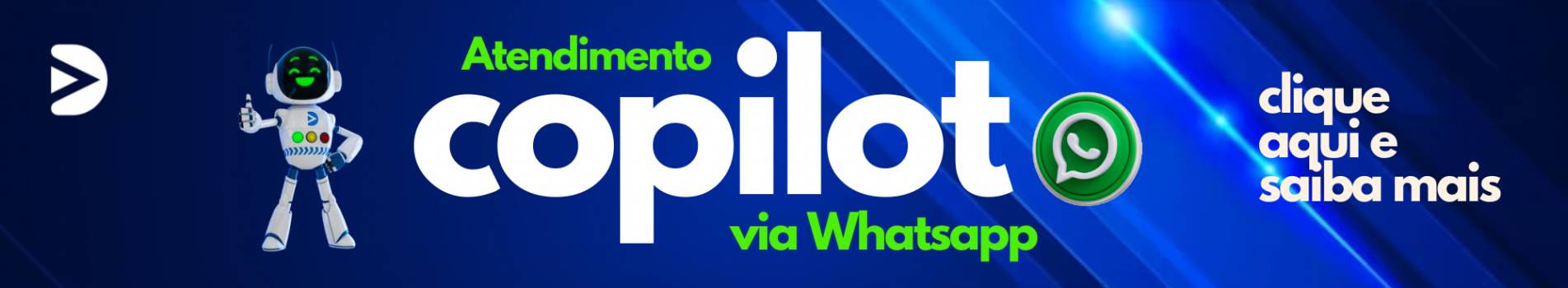 COPILOTO 2
