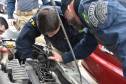 Em operação conjunta, PRF identifica veículos roubados ou furtados em pátio do Detran. - Curitiba, 13/07/2021 - Foto: Detran-PR