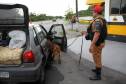 O feriadão de Carnaval terminou com mais acidentes e mortes nas rodovias paranaenses, em comparação com o ano passado. De acordo com o balanço divulgado nesta quarta-feira (01) pela Polícia Militar do Paraná, foram registrados 133 acidentes com 132 feridos e 10 mortos, além de três atropelamentos neste feriado. No mesmo período do ano anterior, foram 127 acidentes, 129 feridos, sete mortos e três atropelamentos. 