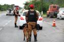 O feriadão de Carnaval terminou com mais acidentes e mortes nas rodovias paranaenses, em comparação com o ano passado. De acordo com o balanço divulgado nesta quarta-feira (01) pela Polícia Militar do Paraná, foram registrados 133 acidentes com 132 feridos e 10 mortos, além de três atropelamentos neste feriado. No mesmo período do ano anterior, foram 127 acidentes, 129 feridos, sete mortos e três atropelamentos. 