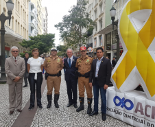Maio Amarelo: Confira o balanço das ações do dia 1º ao dia 09
