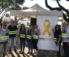 Maio Amarelo: Confira o balanço das ações do dia 1º ao dia 09