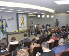 Destaques Maio Amarelo 2019