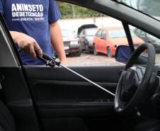 Campanha Dengue Mata