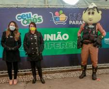 Detran participa da campanha Cesta Solidária e arrecada mais de três toneladas de alimentos