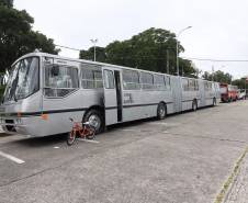 Comemoração de um ano da placa preta no Paraná reúne mais de 100 veículos antigos