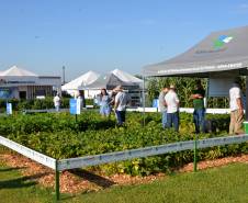Detran finaliza participação em Show Rural 2023 