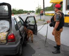 O feriadão de Carnaval terminou com mais acidentes e mortes nas rodovias paranaenses, em comparação com o ano passado. De acordo com o balanço divulgado nesta quarta-feira (01) pela Polícia Militar do Paraná, foram registrados 133 acidentes com 132 feridos e 10 mortos, além de três atropelamentos neste feriado. No mesmo período do ano anterior, foram 127 acidentes, 129 feridos, sete mortos e três atropelamentos. 