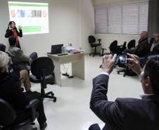 Motoristas que cometeram crimes de trânsito, por dirigirem embriagados, estão recebendo uma punição diferente em São José dos Pinhais, na Região Metropolitana de Curitiba. Foto: Emily Kravetz