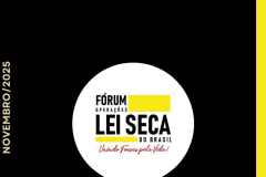 Lei Seca Novembro 2025