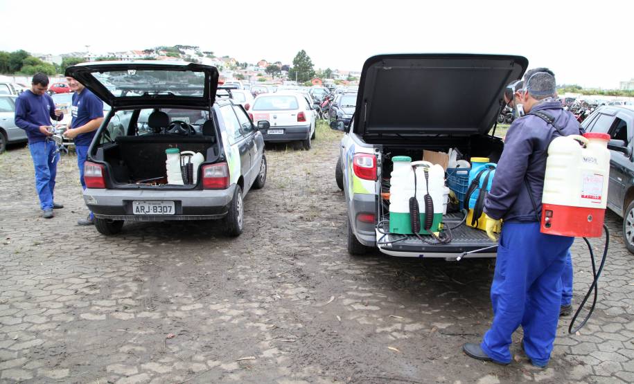 Campanha Dengue Mata