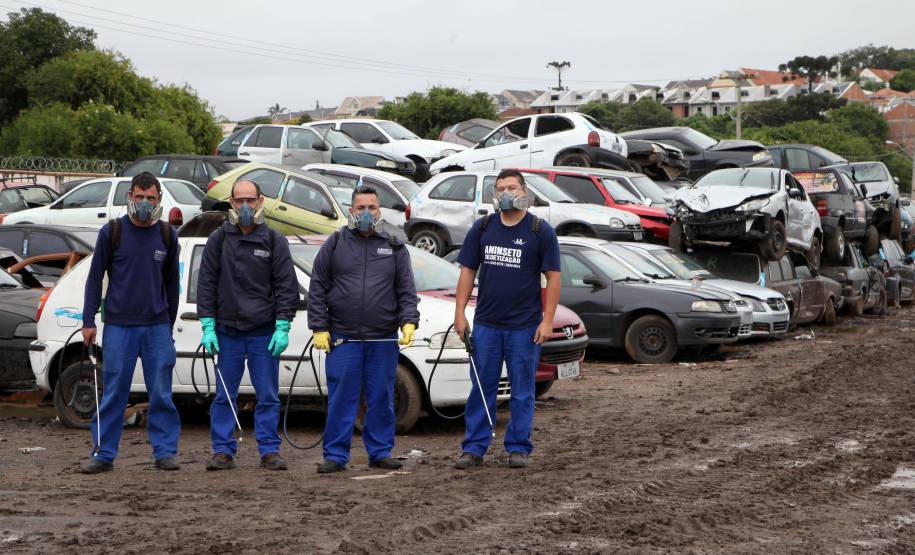 Campanha Dengue Mata