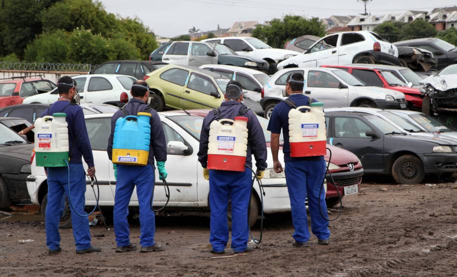 Campanha Dengue Mata