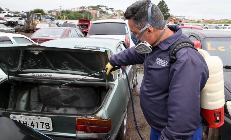 Campanha Dengue Mata