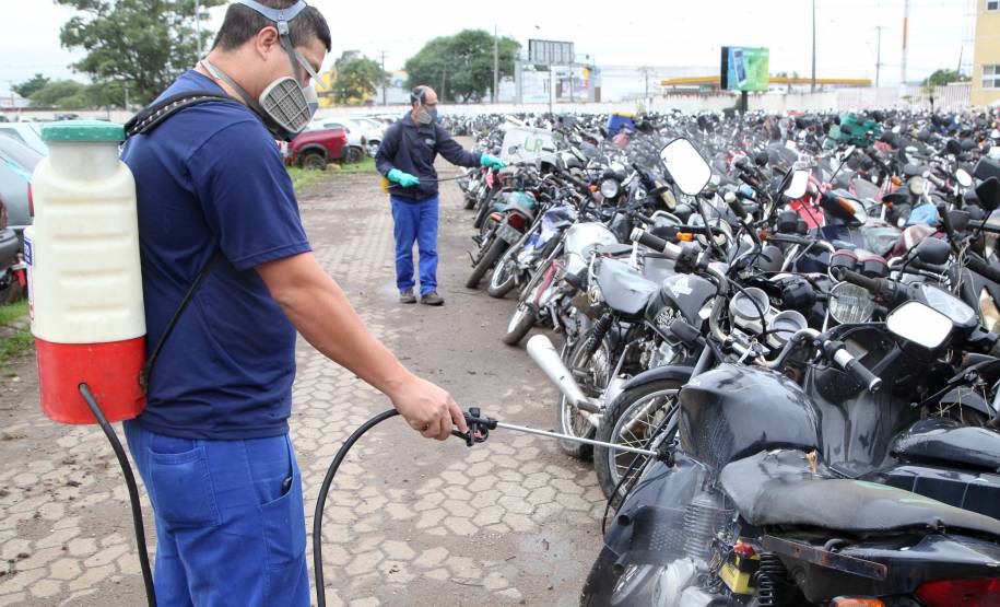 Campanha Dengue Mata