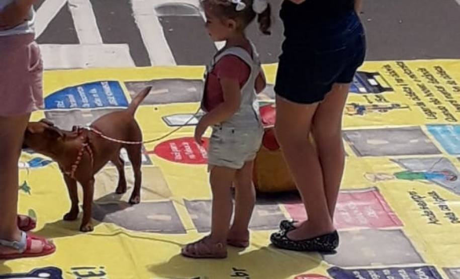 Fotos da Semana 02/12/2019 à 06/12/2019