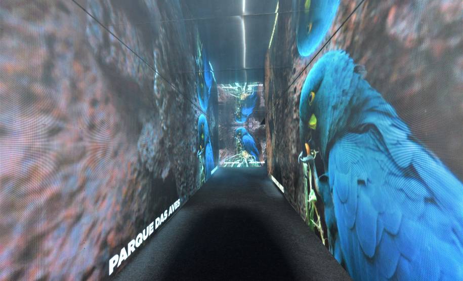 DETRAN - GOVERNO 5.0