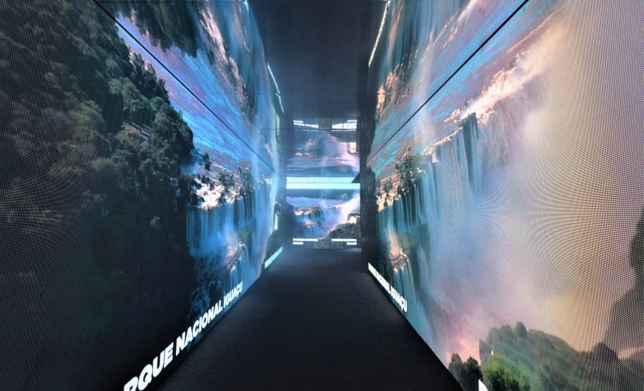 DETRAN - GOVERNO 5.0