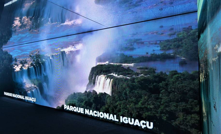 DETRAN - GOVERNO 5.0