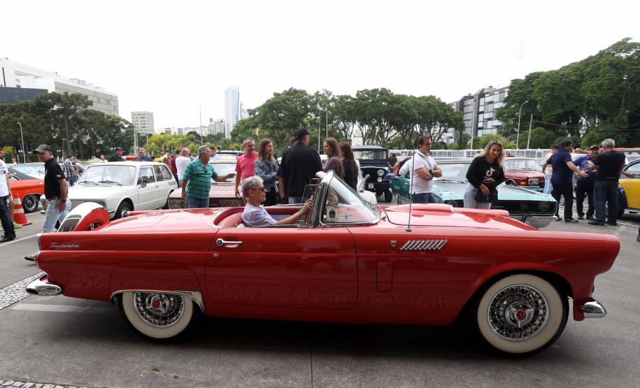Detran comemora um ano do lançamento da nova placa preta no modelo Mercosul no Paraná