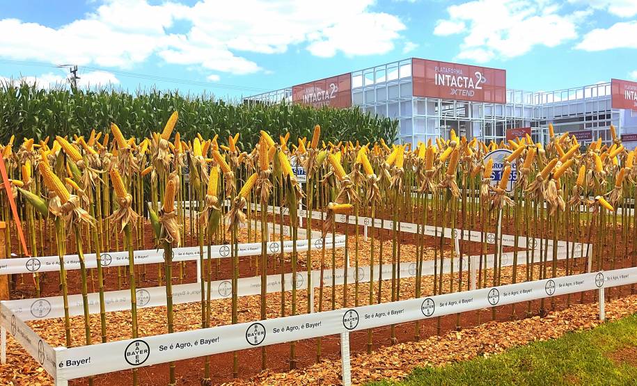 Detran finaliza participação em Show Rural 2023