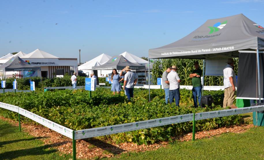 Detran finaliza participação em Show Rural 2023