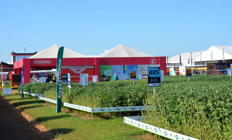 Detran finaliza participação em Show Rural 2023