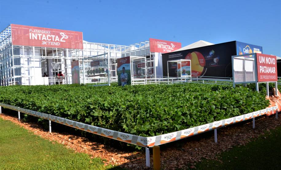 Detran finaliza participação em Show Rural 2023