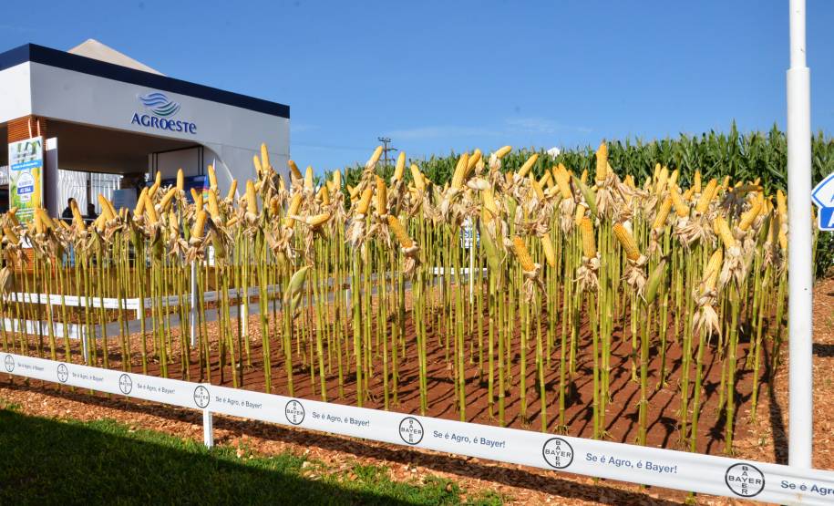 Detran finaliza participação em Show Rural 2023