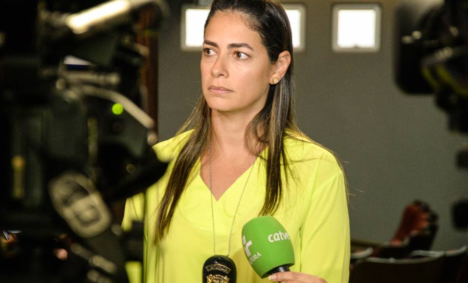 Estado alerta para golpes com sites que cobram agendamentos e fraudam IPVA e leilões