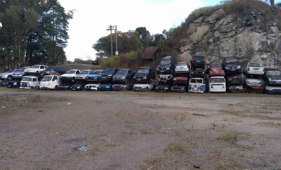 Detran-PR arrecada R$ 4,9 milhões em leilão; recursos serão usados em sinalização