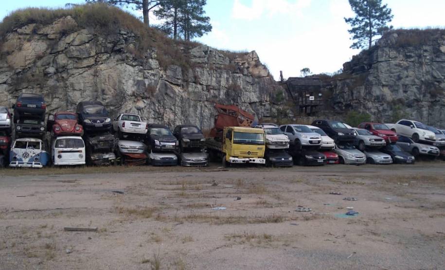 Detran-PR arrecada R$ 4,9 milhões em leilão; recursos serão usados em sinalização