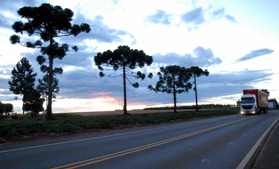 Exame toxicológico será obrigatório para caminhoneiros em 60 dias