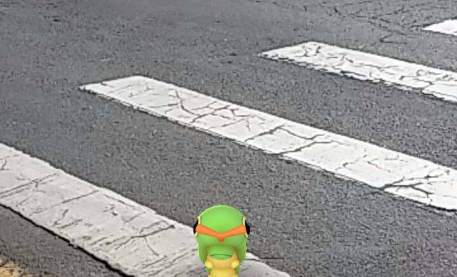 Detran alerta para uso seguro do Pokemo GO O Departamento de Trânsito do Paraná (Detran) alerta motoristas e pedestres para os perigos do jogo de realidade aumentada Pokemon Go, lançado nesta semana no Brasil.